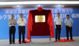 龙湾一号爆料最新消息视频,揭秘神秘视频背后的惊人真相