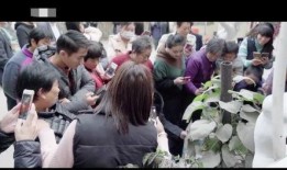 厨师大王被爆料视频,揭秘厨房背后的惊人真相