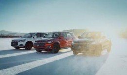 新款车型爆料视频大全