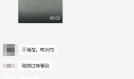 网友爆料货车视频播放下载,揭秘货车司机日常瞬间