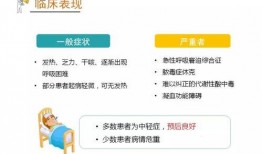 新冠状病毒今日爆料,揭秘病毒变异与传播途径