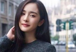 娱乐圈爆料一线女明星,一线女明星的幕后故事
