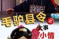 毛驴县令之大事小情在线观看,大事小情笑谈间，智慧治理显神通