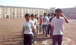 乾安七中最新爆料,揭秘校园风云背后的真相