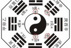 今日爆料娱乐八卦图最新,揭秘明星背后的惊人真相！