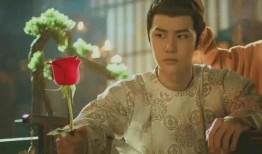 王一博爆料杀青视频播放