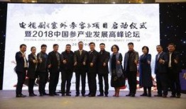 辽宁老总爆料新闻视频,揭秘企业内幕与行业真相