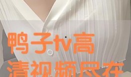 唐朝tv盛宴在线观看,在线观看，穿越千年文化盛宴