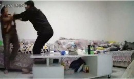 爆料妈妈出场视频完整版,育儿真相与感人瞬间