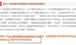 辛巴母亲爆料视频播放,揭秘背后真相