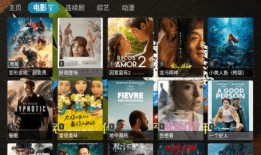 小粽子被爆料视频在线,揭秘背后真相