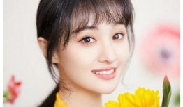 关于郑爽的最新爆料,揭秘娱乐圈新爆料背后的真相