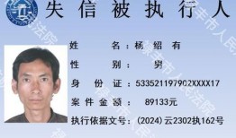 新闻趣事爆料大全最新,趣事大全最新盘点，笑料百出引人捧腹