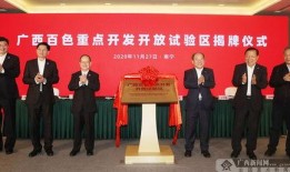 广西百色新闻爆料平台,聚焦民生热点，揭示社会现象