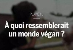 素食主义者 在线观看,在线观看之旅