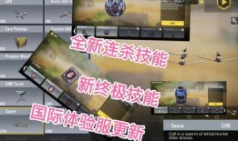 和平新音体验服最新爆料,全新玩法与角色大揭秘！