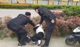 出警爆料歹徒视频大全,警方出警瞬间还原