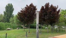 西安世博园爆料视频,震撼视频曝光，探秘千年古都新地标