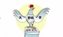 官方爆料野鸡大学视频,官方爆料视频深度解析