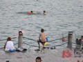 亲水爆料视频,揭秘视频背后的惊人真相
