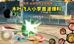 飞人李洛克技能爆料视频