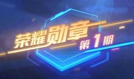 荣耀勋章最新爆料消息,揭秘神秘荣誉背后的故事与幕后英雄