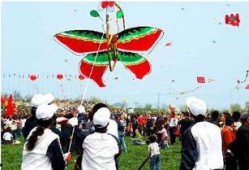 东岛风筝爆料视频完整版,完整版内容深度解析