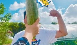 免费的吃瓜网红群,网红群带你领略网络娱乐新风尚