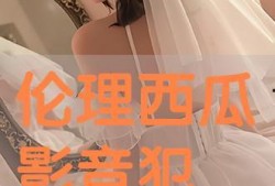 伦理西瓜影音在线观看,深度解析伦理题材影视作品的魅力