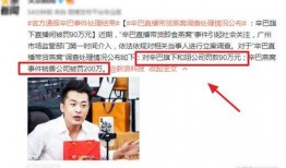 辛巴母亲爆料视频播放,揭秘背后真相