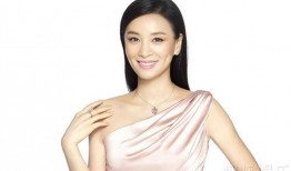 娱乐大爆料张庭简介,张庭——揭秘明星背后的故事