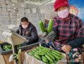 郯城网红吃瓜事件视频,一场网络狂欢背后的真相揭秘