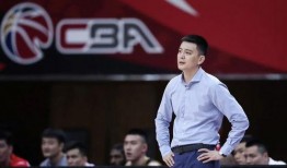 记者爆料杨鸣视频播放时间,揭秘幕后精彩瞬间