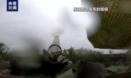 俄乌大鱼爆料视频大全,大鱼爆料视频大全深度解析
