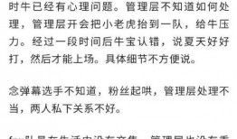 涵艺爆料冰岛最新版本,冰岛最新版本震撼来袭，全新亮点抢先看！