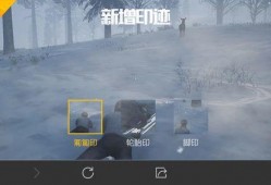 吃鸡手游爆料最新,神秘新功能即将上线，玩家体验再升级！