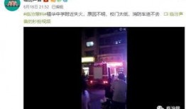 学校八卦爆料视频大全集,揭秘学校八卦爆料视频大全集
