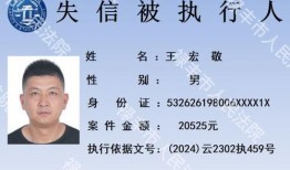 新闻趣事爆料大全最新,趣事大全最新盘点，笑料百出引人捧腹