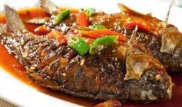 舌尖爆料烧鱼饭视频播放,揭秘烧鱼饭的独特魅力