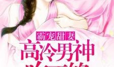 小说吃瓜巨宠琳妃免费阅读,宫廷吃瓜巨宠风云录