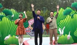 云舞官方爆料最新消息视频,揭秘神秘视频背后的精彩内容