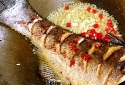 舌尖爆料烧鱼饭视频播放,揭秘烧鱼饭的独特魅力