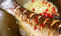 舌尖爆料烧鱼饭视频播放,揭秘烧鱼饭的独特魅力